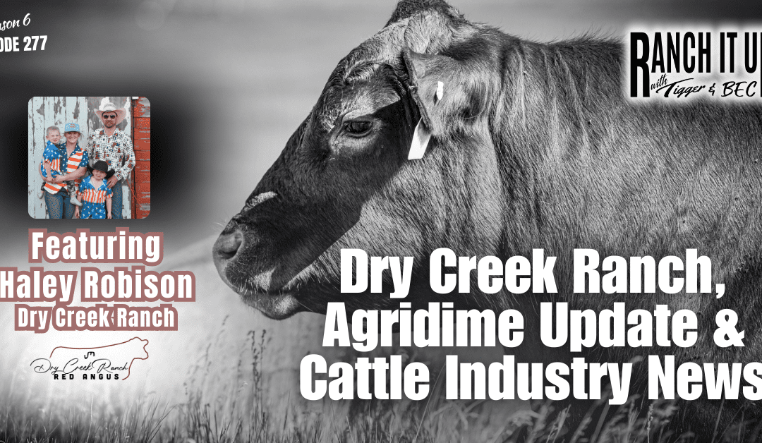 Dry Creek Ranch, Agridime Update & Cattle Industry News