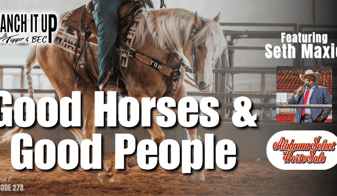 Horses For Sale, Fire Relief Updates & More