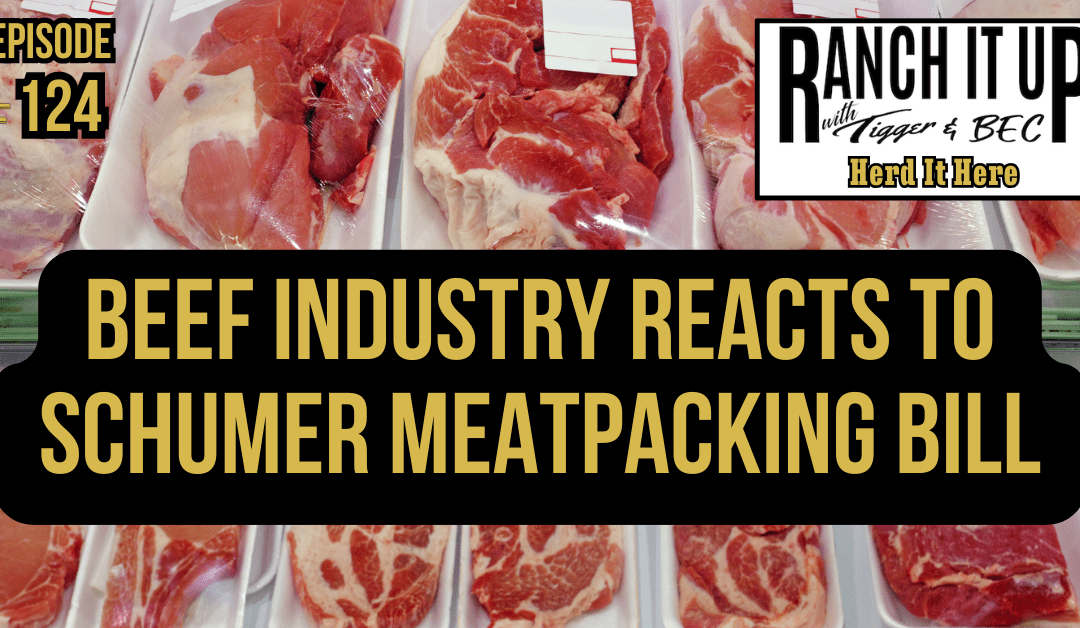 Beef Industry Reacts To Schumer Meatpacking Bill