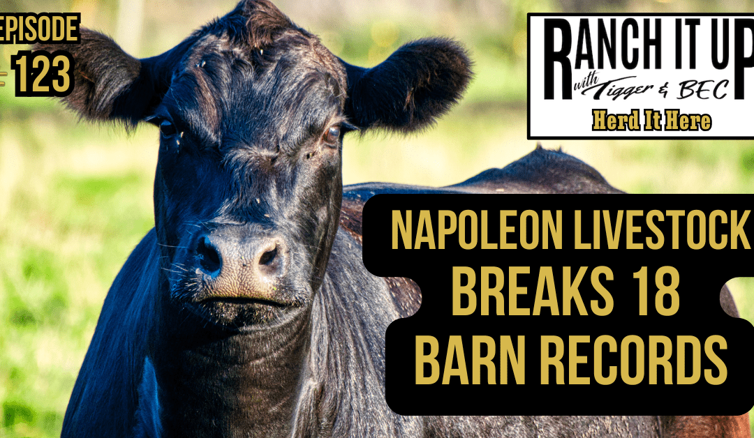 Napoleon Livestock Breaks 18 Barn Records