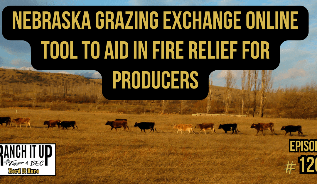 Nebraska Grazing Exchange Online Tool To Aid In Fire Relief For Producers