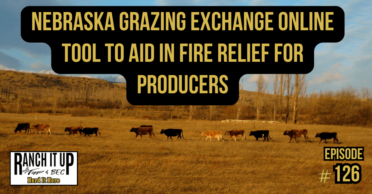 Nebraska Grazing Exchange Online Tool To Aid In Fire Relief For Producers