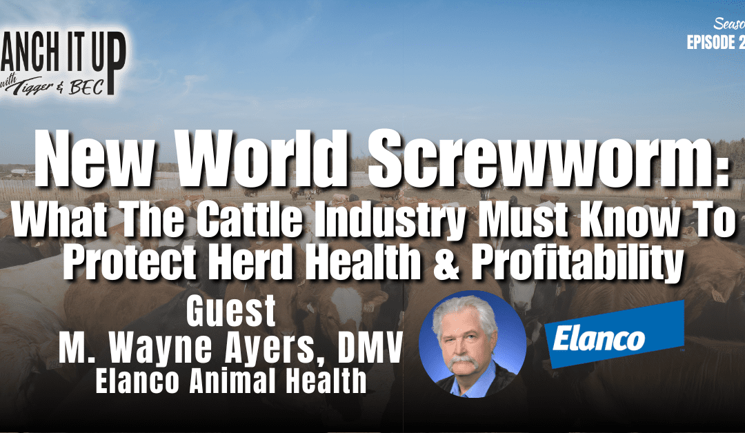 New World Screwworm:  What The Cattle Industry Must Know To Protect Herd Health & Profitability