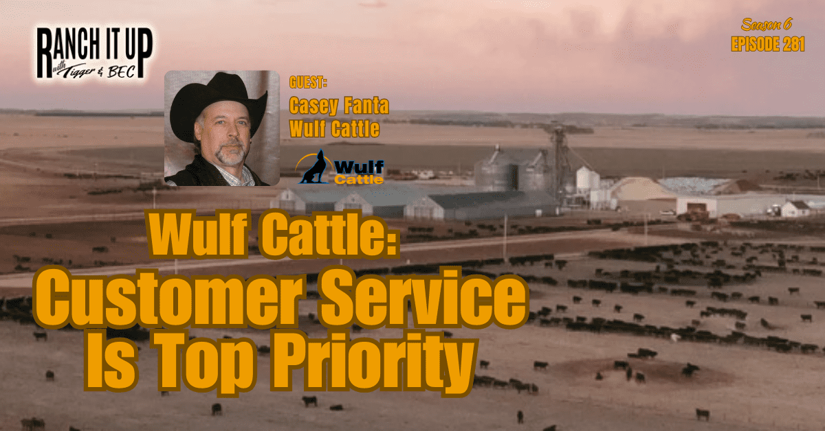 Customer Service Is Top Priority At Wulf Cattle