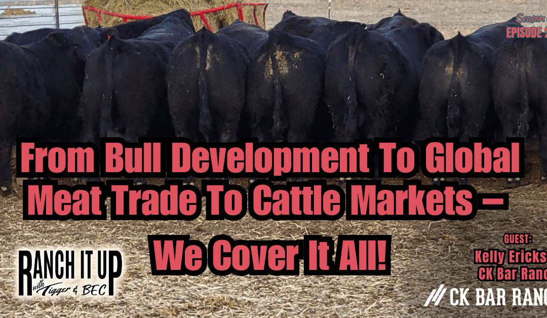 Bull Development, Meat Trade & Costs, Lab Grown Meat, & Packer Consolidation