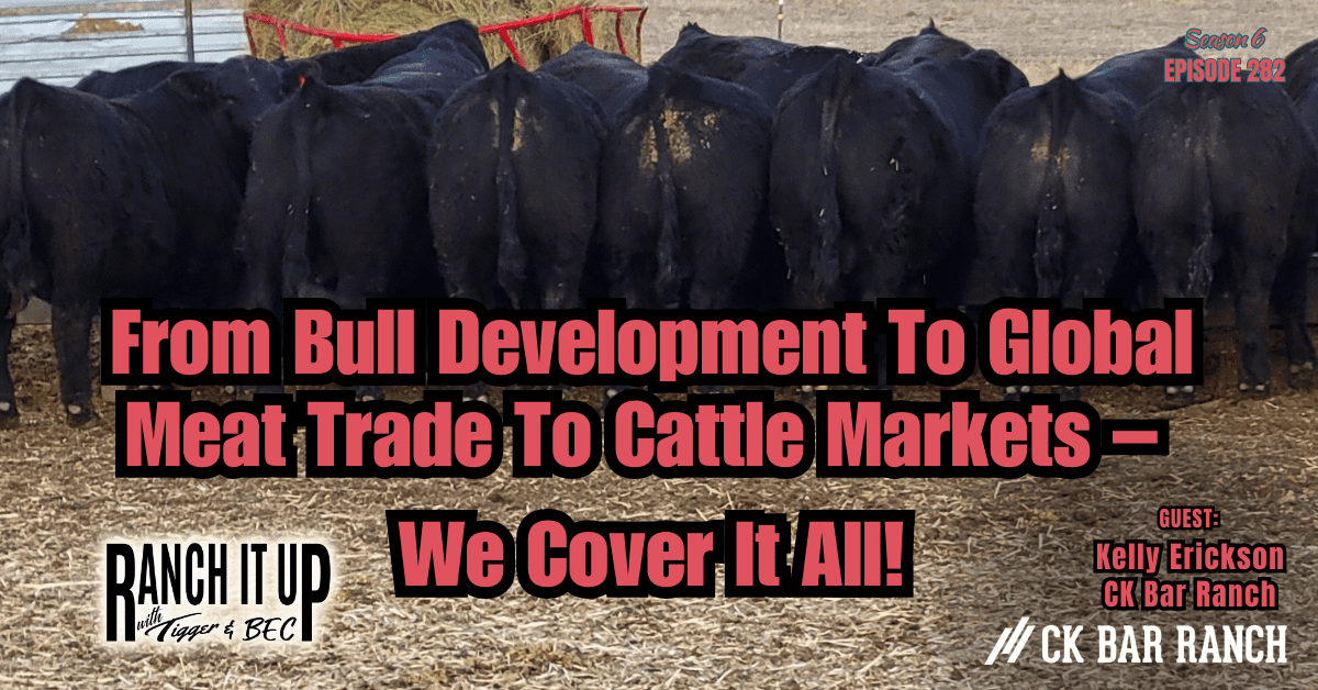 Bull Development, Meat Trade & Costs, Lab Grown Meat, & Packer Consolidation