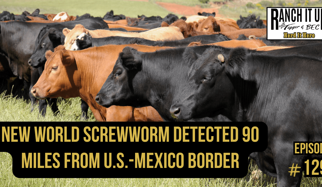 New World Screwworm Detected 90 Miles From U.S.-Mexico Border