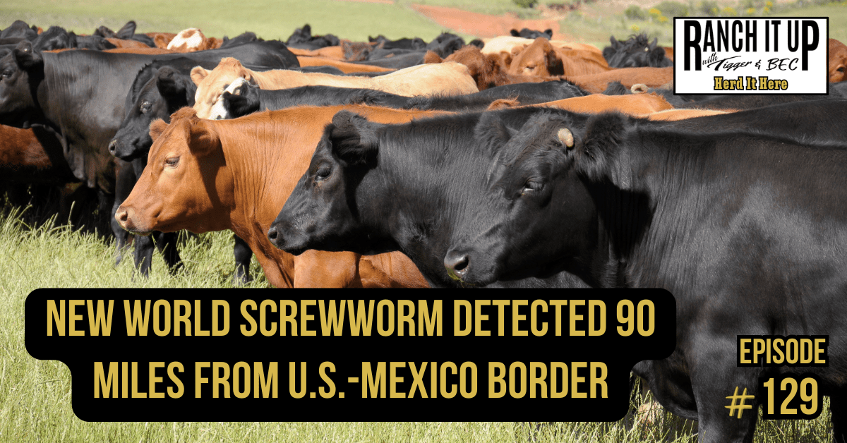 New World Screwworm Detected 90 Miles From U.S.-Mexico Border
