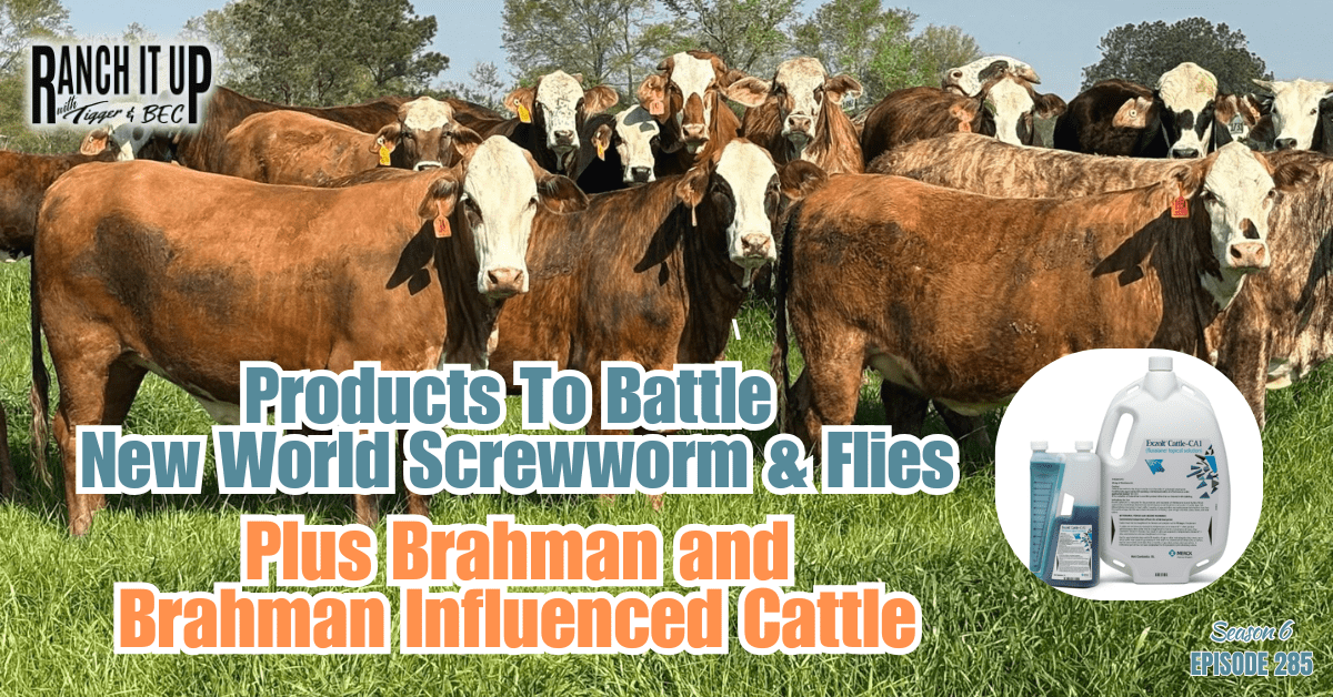 Products To Combat Flies & New World Screwworm & Top Brahman Genetics