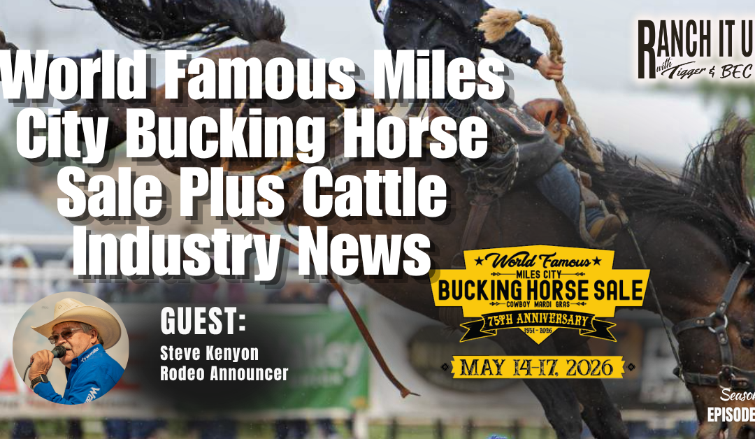 Miles City Bucking Horse Sale & Cattle Industry News