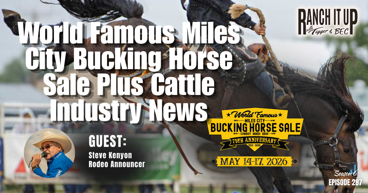 Miles City Bucking Horse Sale & Cattle Industry News