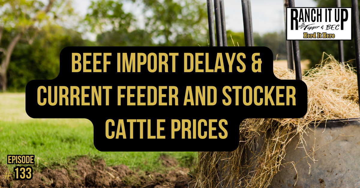 Beef Import Delays & Current Feeder and Stocker Cattle Prices