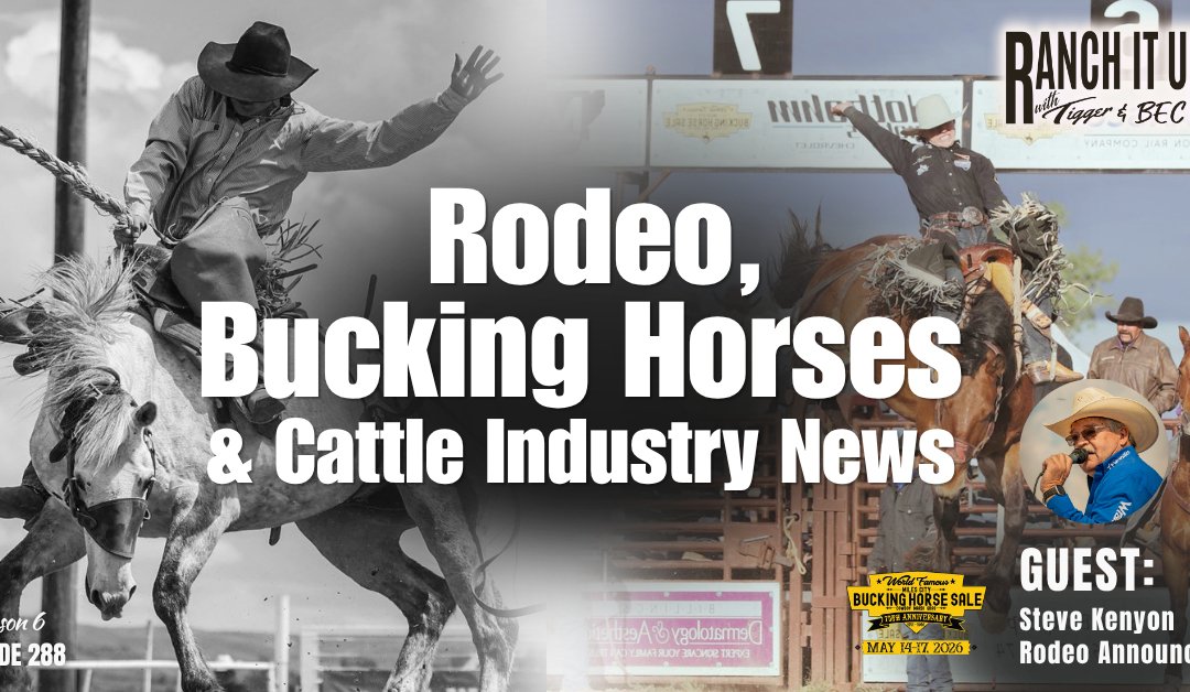 Rodeo, Bucking Horses & Cattle Industry News