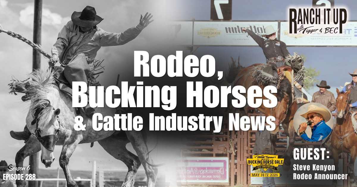 Rodeo, Bucking Horses & Cattle Industry News