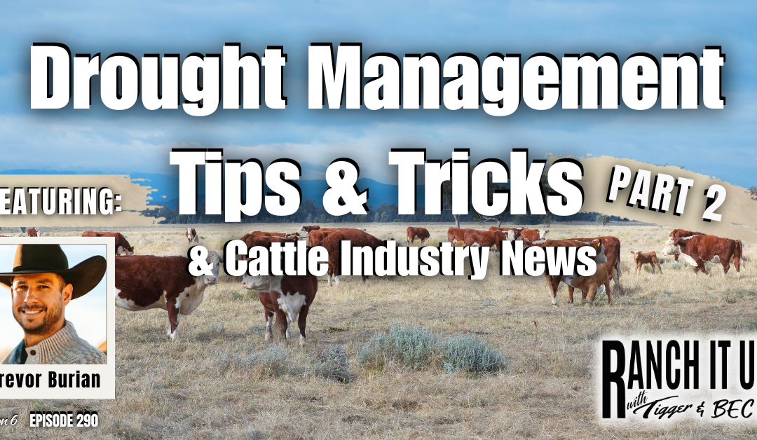 Drought Management Tips & Tricks & Cattle Industry News Part 2