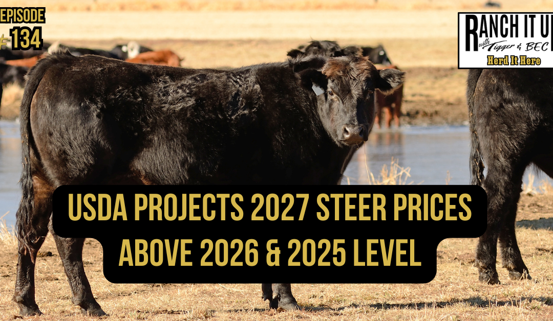 USDA Projects 2027 Steer Prices Above 2026 & 2025 Levels