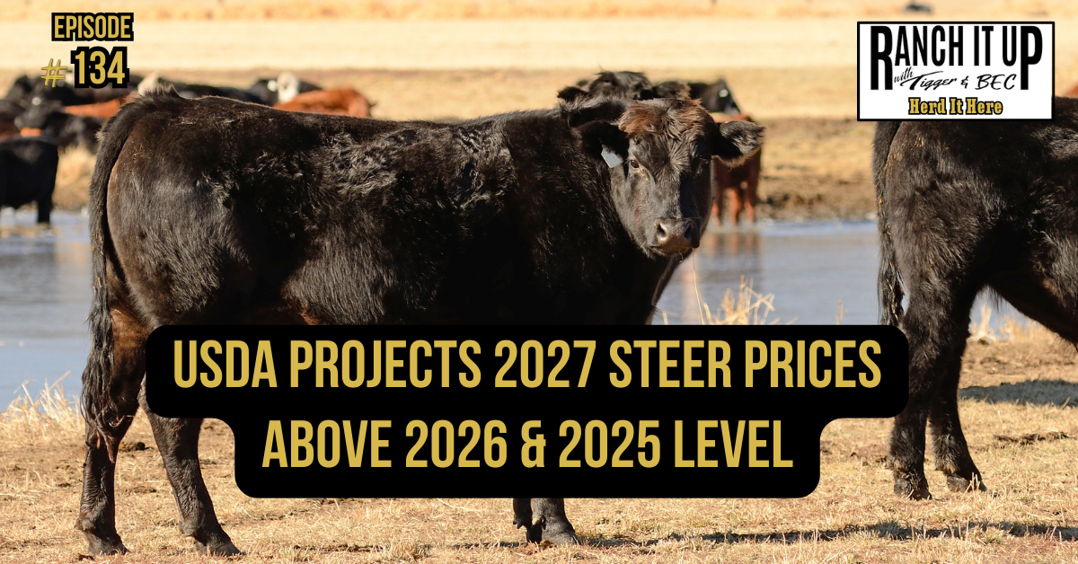 USDA Projects 2027 Steer Prices Above 2026 & 2025 Levels