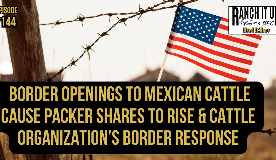 Border Openings To Mexican Cattle Cause Packer Shares To Rise & Cattle Organization’s Border Response