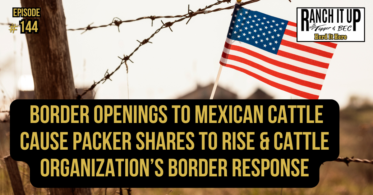 Border Openings To Mexican Cattle Cause Packer Shares To Rise & Cattle Organization’s Border Response