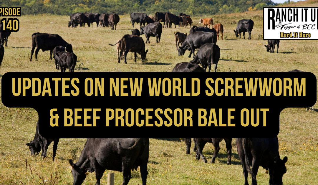 Updates On New World Screwworm & Beef Processor Bale Out