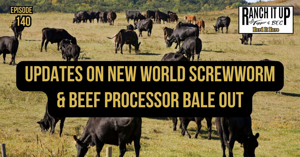 Updates On New World Screwworm & Beef Processor Bale Out