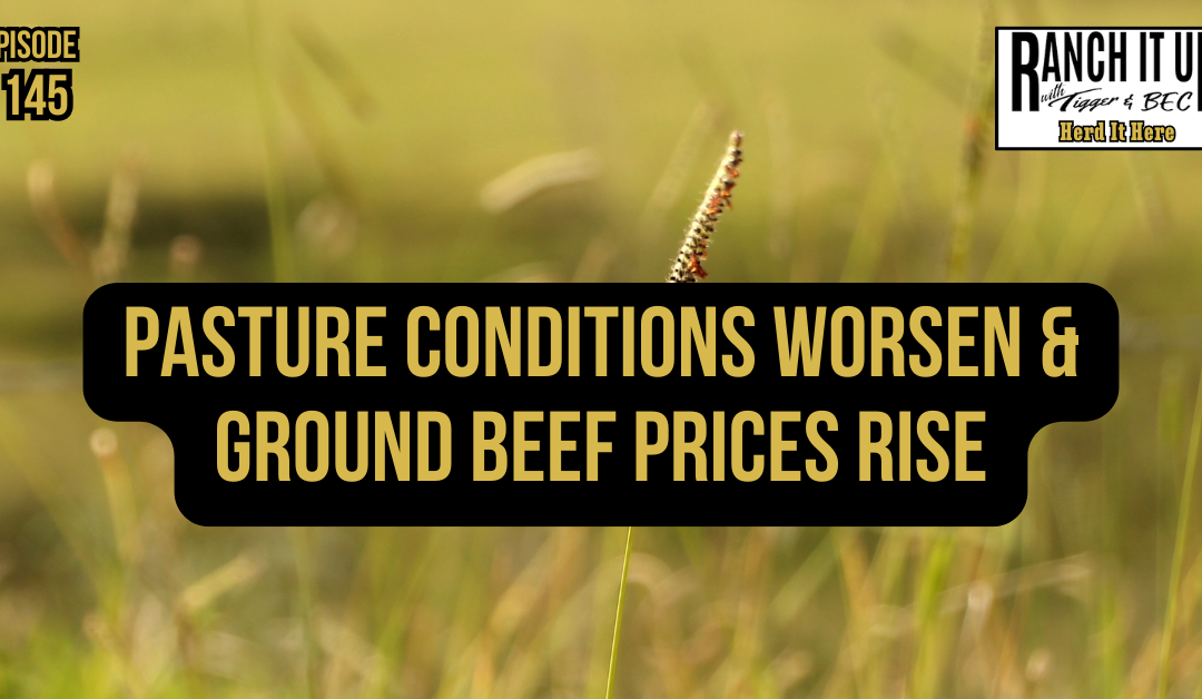 Pasture Conditions Worsen & Ground Beef Prices Rise