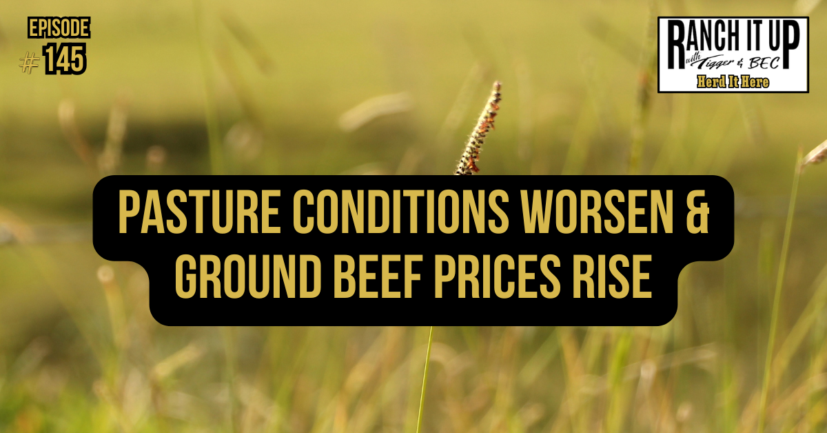 Pasture Conditions Worsen & Ground Beef Prices Rise