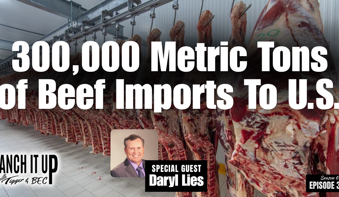 300,000 Metric Tons Of Ground Beef To Enter The U.S. 