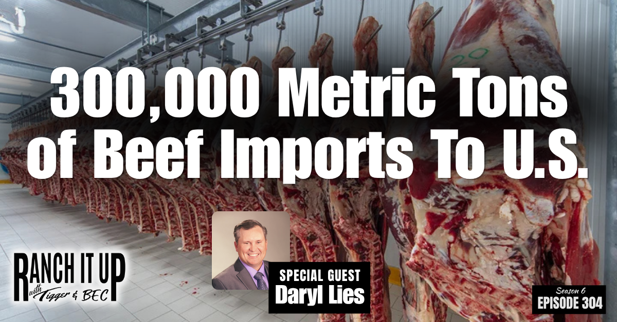 300,000 Metric Tons Of Ground Beef To Enter The U.S.