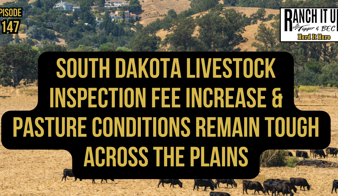 South Dakota Livestock Inspection Fee Increase & Pasture Conditions Remain Tough Across The Plains