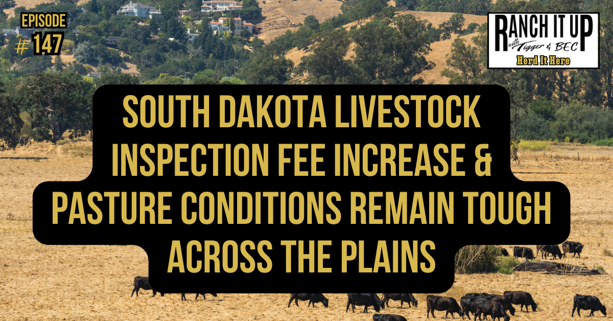 South Dakota Livestock Inspection Fee Increase & Pasture Conditions Remain Tough Across The Plains