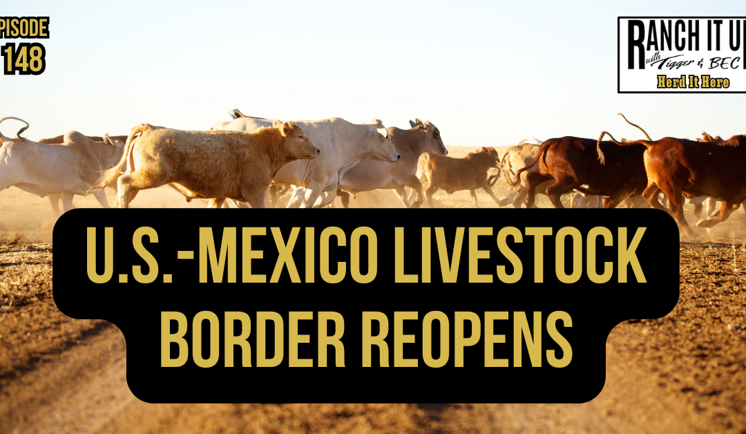 U.S.-Mexico Livestock Border Reopens