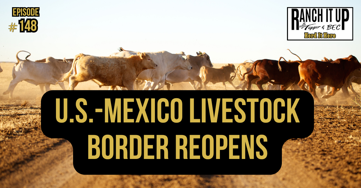 U.S.-Mexico Livestock Border Reopens