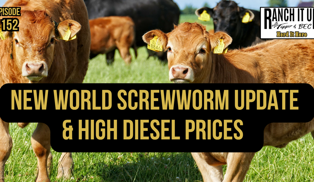New World Screwworm Update & High Diesel Prices