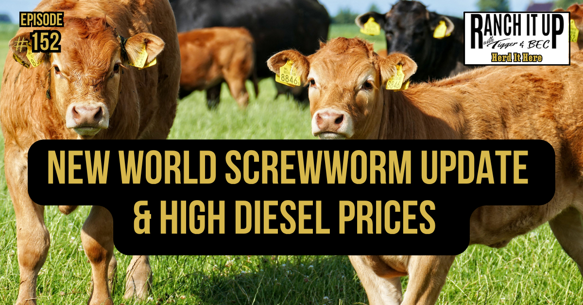 New World Screwworm Update & High Diesel Prices