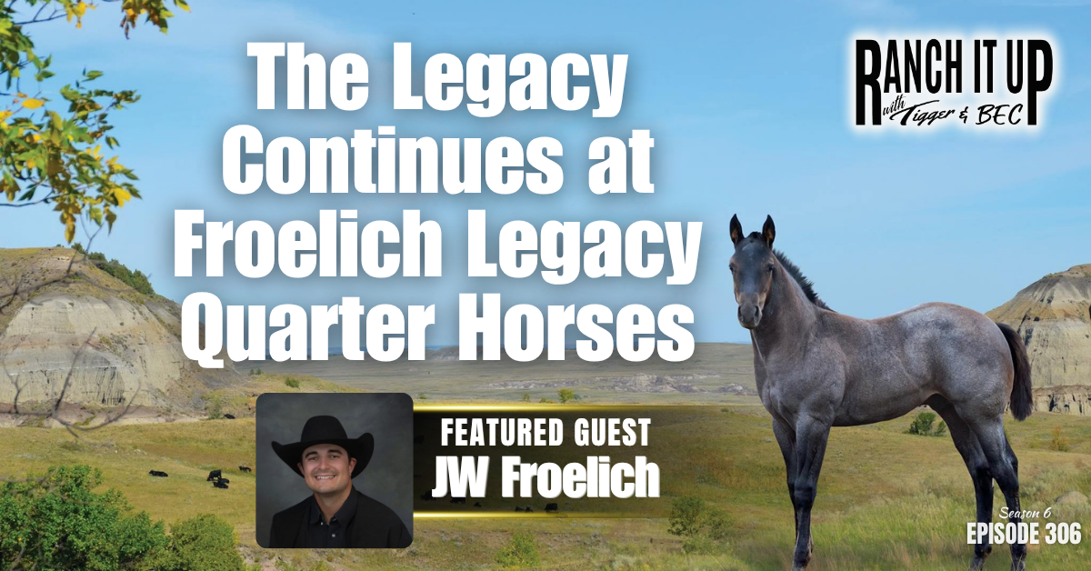 The Legacy Continues With Froelich Legacy Quarter Horses