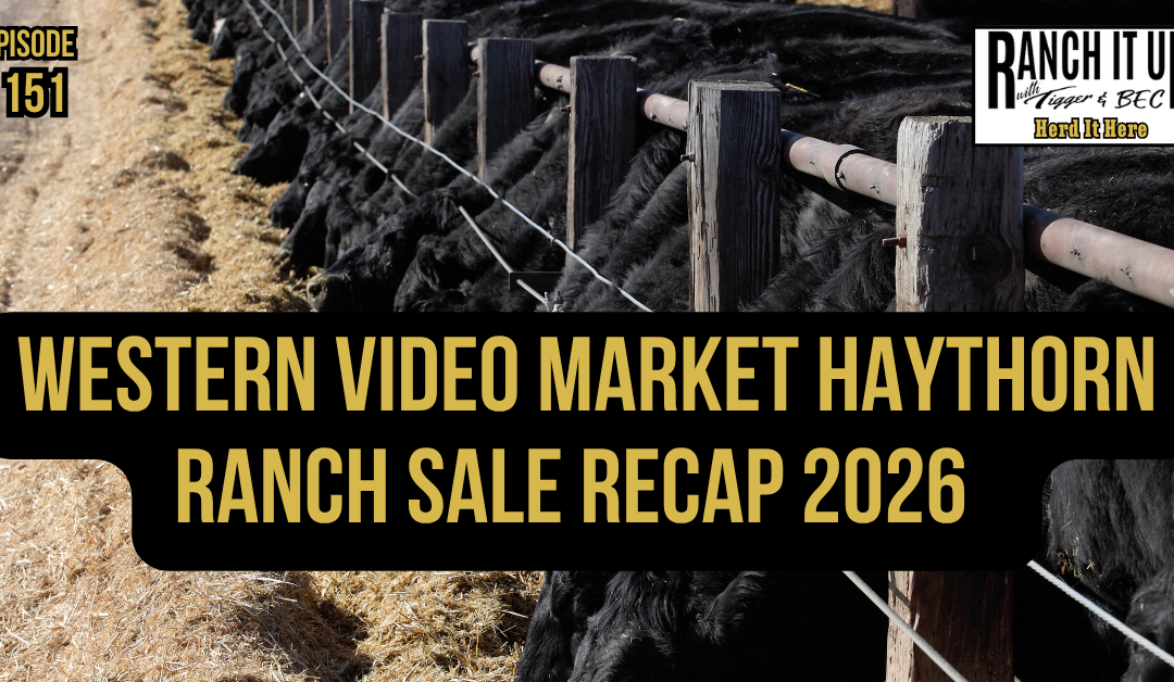 Western Video Market Haythorn Ranch Sale Recap 2026