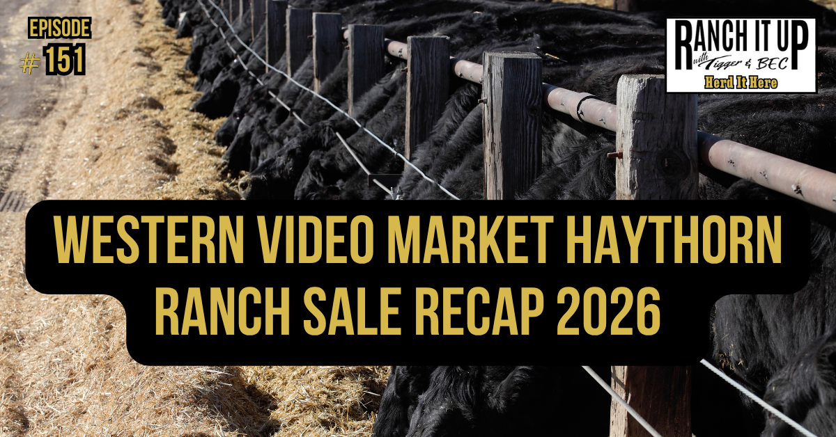 Western Video Market Haythorn Ranch Sale Recap 2026