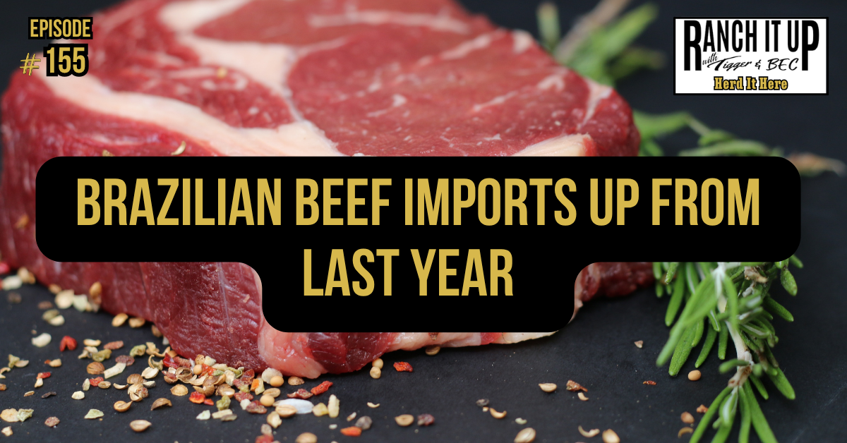 Brazilian Beef Imports Up From Last Year